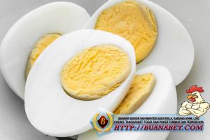 Vitamin dari telur ayam